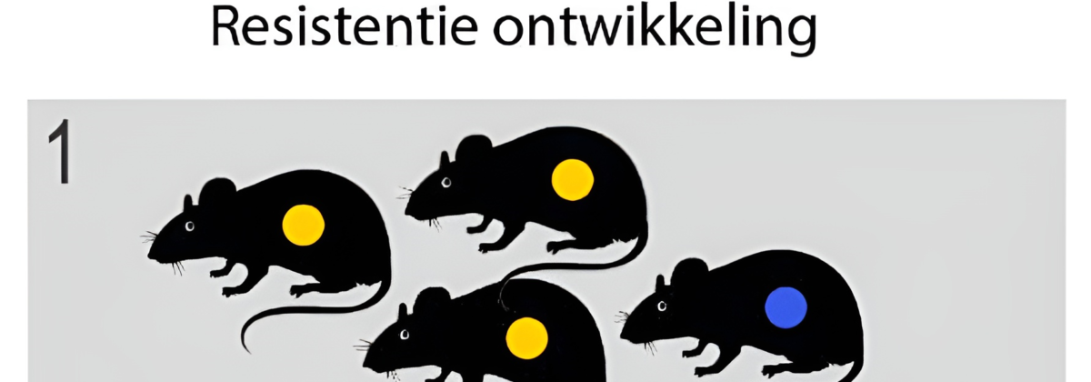 Opname rodenticiden